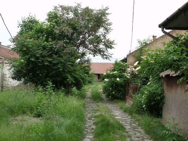 Eladó telek, Hódmezővásárhelyen 12.5 M Ft