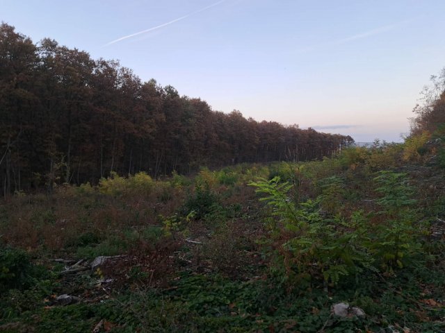 Eladó telek, Nádasdladányban 86.8 M Ft / költözzbe.hu