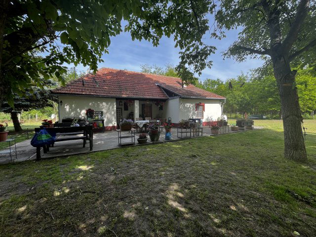 Eladó mezogazdasagi ingatlan, Mikebudán 45.9 M Ft