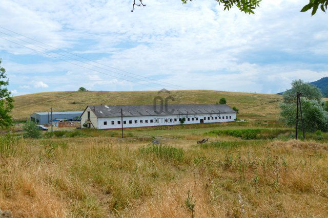 Eladó mezogazdasagi ingatlan, Nagykeresztúron 90 M Ft