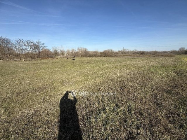 Eladó telek, Tiszakécskén 2.5 M Ft / költözzbe.hu