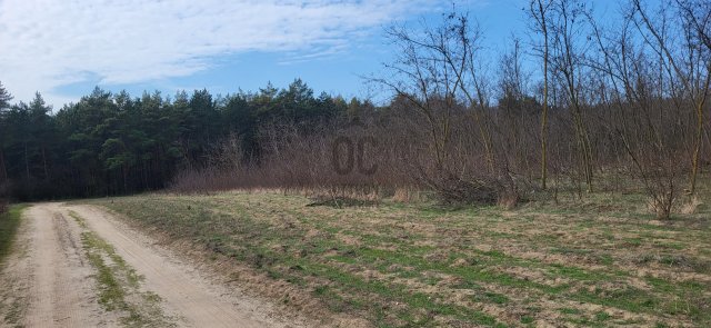 Eladó telek, Csévharaszton 3.5 M Ft / költözzbe.hu