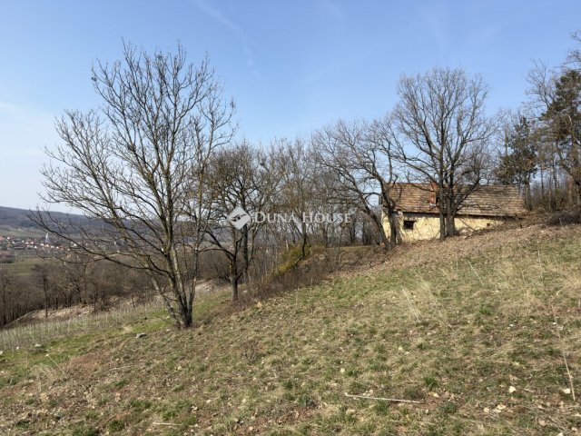 Eladó telek, Balatoncsicsón 120 M Ft / költözzbe.hu