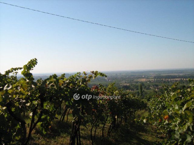 Eladó mezogazdasagi ingatlan, Siklóson 5.5 M Ft