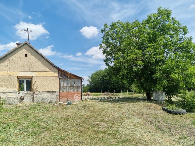 Eladó telek, Szalkszentmártonon 19.5 M Ft / költözzbe.hu