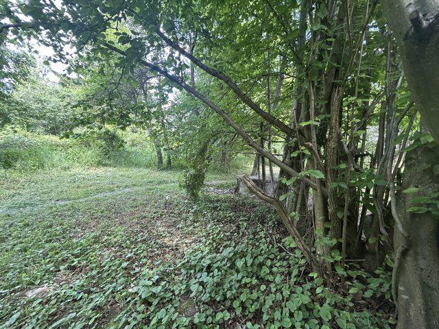 Eladó családi ház, Bakházán 6.5 M Ft, 1 szobás