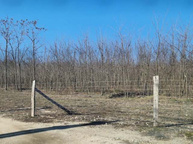 Eladó telek, Dabason 14.9 M Ft / költözzbe.hu