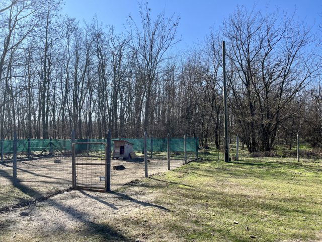 Eladó családi ház, Izsákon 23.9 M Ft, 2 szobás