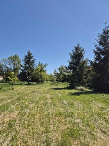 Eladó telek, Pálin 4.73 M Ft / költözzbe.hu