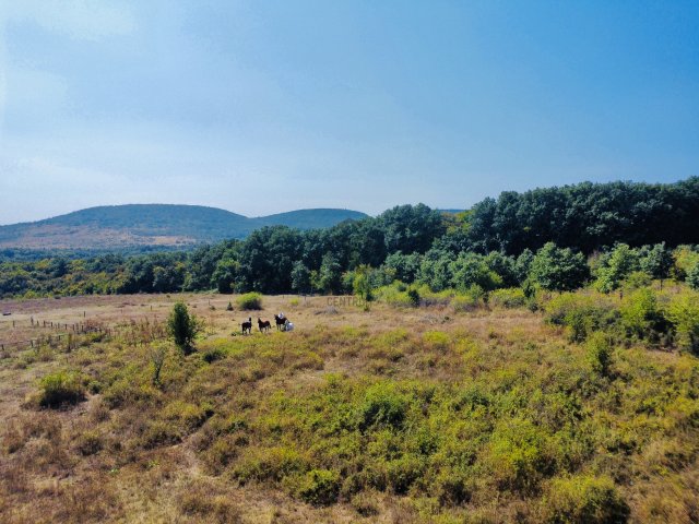 Eladó mezogazdasagi ingatlan, Szentendrén 4.49 M Ft