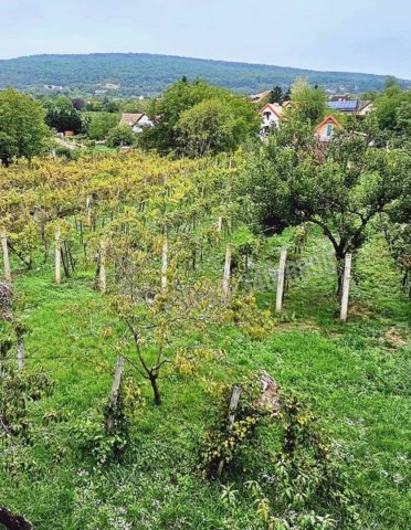 Eladó családi ház, Csopakon 70 M Ft, 3+2 szobás