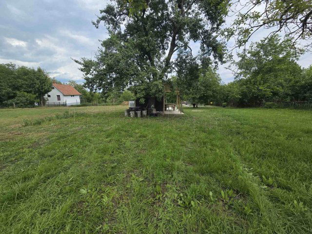 Eladó mezogazdasagi ingatlan, Balatonlelleén 25.9 M Ft