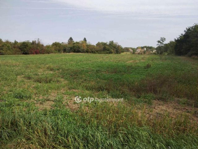 Eladó telek, Vönöckön 4 M Ft / költözzbe.hu