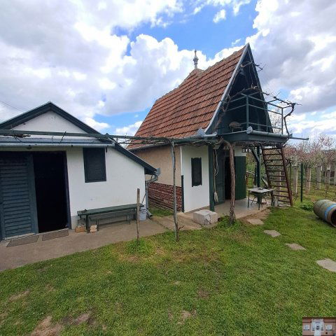 Eladó mezogazdasagi ingatlan, Monoron 10.9 M Ft