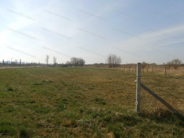 Eladó mezogazdasagi ingatlan, Balatonbogláron 21.5 M Ft