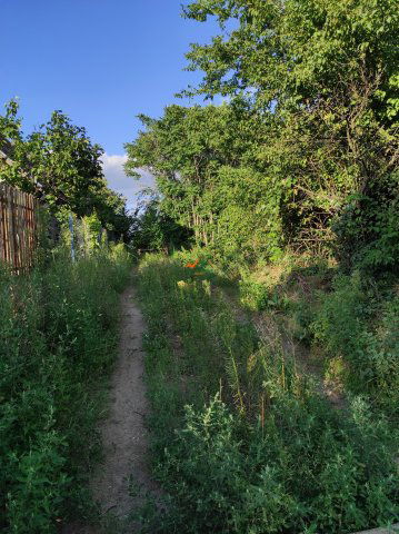 Eladó telek, Szigetszentmiklóson 29.9 M Ft / költözzbe.hu