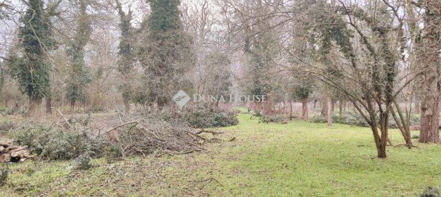 Eladó családi ház, Hódmezővásárhelyen 250 M Ft, 5 szobás