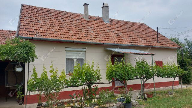 Eladó családi ház, Vésztőn 14.6 M Ft, 4 szobás