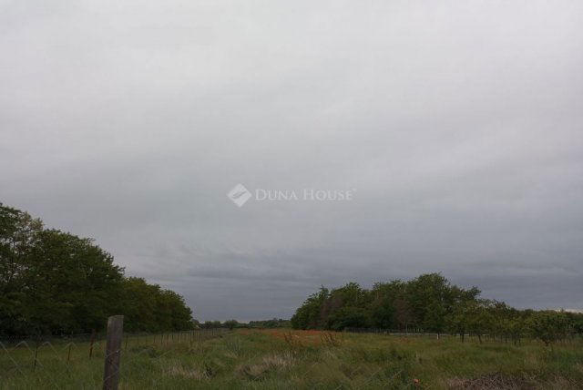 Eladó telek, Magyarhomorogon 3.5 M Ft / költözzbe.hu