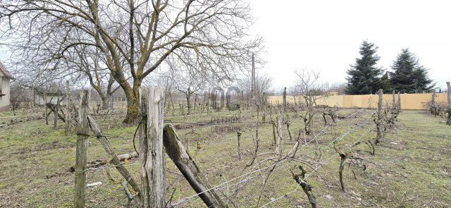 Eladó telek, Pakson 23.9 M Ft / költözzbe.hu