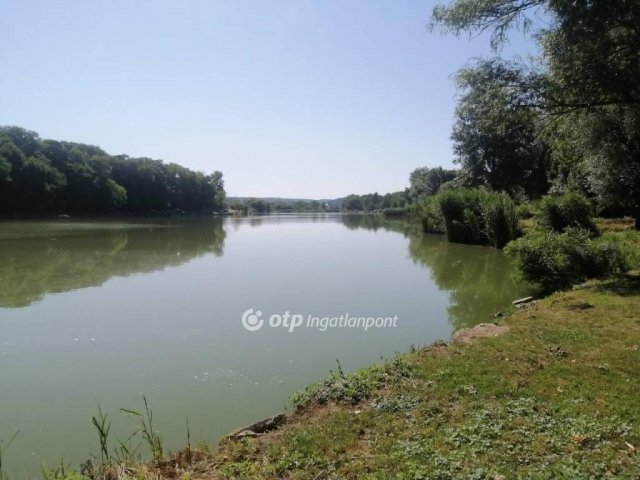 Eladó mezogazdasagi ingatlan, Tamásiban 200 M Ft