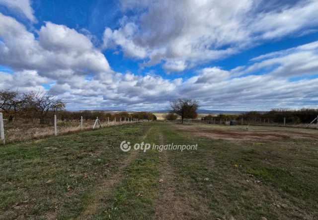 Eladó telek, Bicskén 42 M Ft / költözzbe.hu