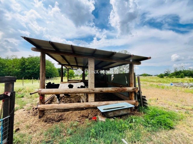 Eladó családi ház, Balástyán 24.9 M Ft, 3 szobás