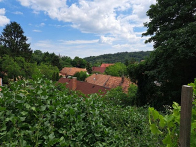 Eladó telek, Törökbálinton 95 M Ft / költözzbe.hu