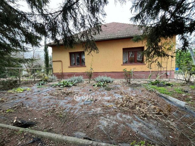 Eladó családi ház, Szalkszentmártonon 42 M Ft, 3 szobás