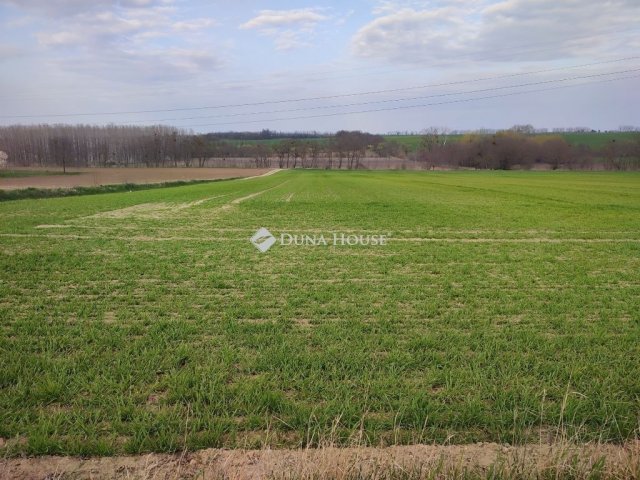 Eladó telek, Tápszentmiklóson 4.9 M Ft / költözzbe.hu