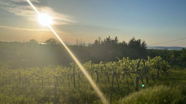 Eladó mezogazdasagi ingatlan, Balatonlelleén 29.5 M Ft