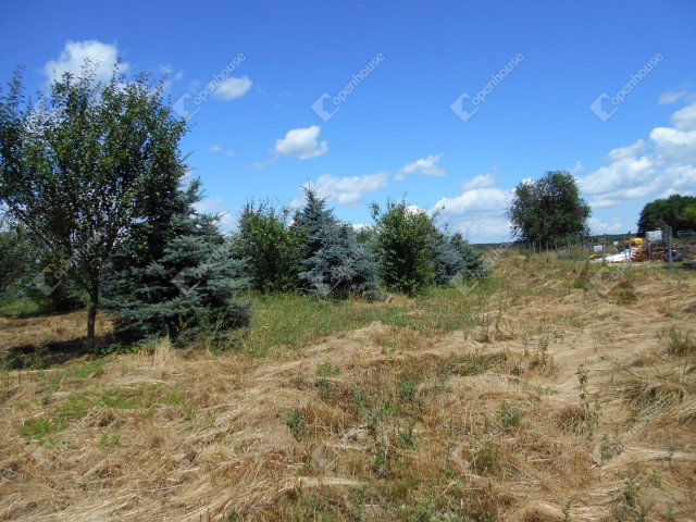 Eladó telek, Ramocsán 6.5 M Ft / költözzbe.hu