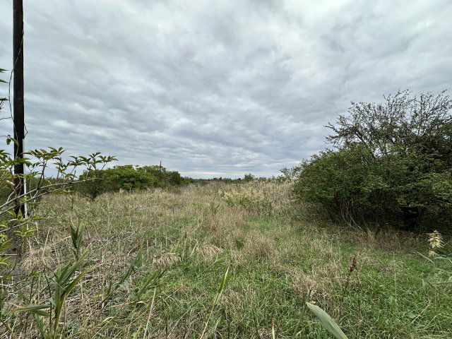 Eladó telek, Mezőberényben, Gyomai úton 0.99 M Ft