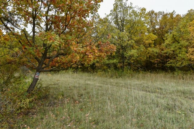 Eladó telek, Pécselyen 19.99 M Ft / költözzbe.hu