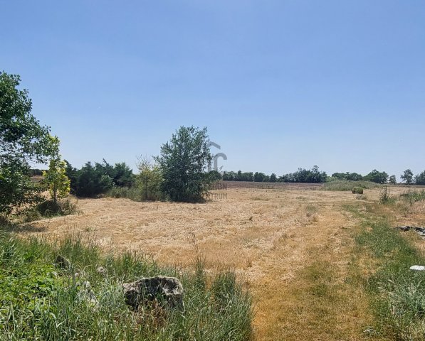 Eladó mezogazdasagi ingatlan, Gárdonyban 650 M Ft