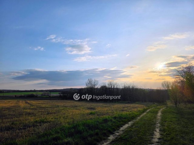 Eladó telek, Galgahévízen 9.5 M Ft / költözzbe.hu