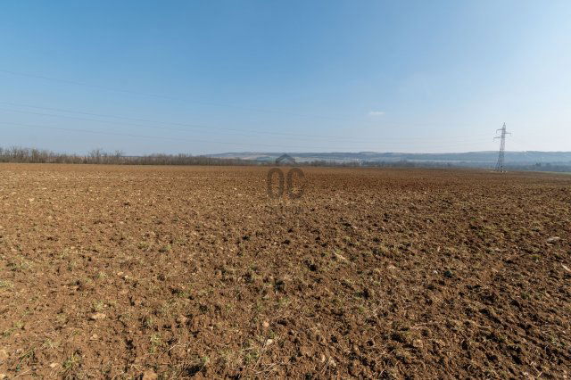 Eladó mezogazdasagi ingatlan, Isztiméren 55.64 M Ft