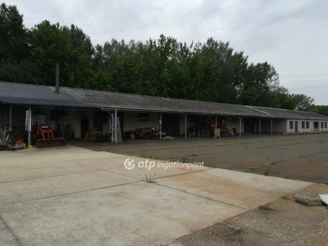 Eladó ipari ingatlan, Mezőkovácsházán 110 M Ft