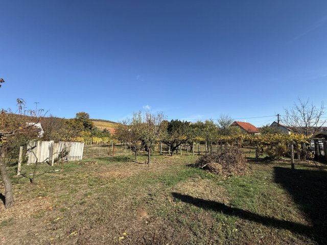 Eladó családi ház, Pécsett, Kodó dűlőn 58 M Ft, 3+1 szobás