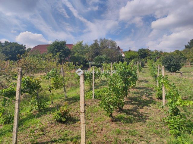 Eladó telek, Pécsett 10.9 M Ft / költözzbe.hu