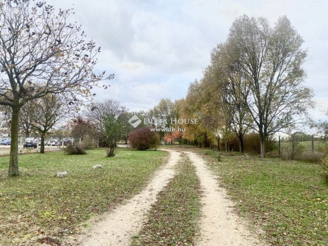 Eladó ipari ingatlan, Dabason 133.8 M Ft / költözzbe.hu