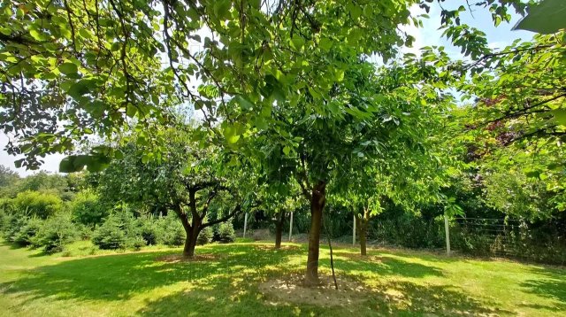 Eladó telek, Nagykanizsán 2.5 M Ft / költözzbe.hu
