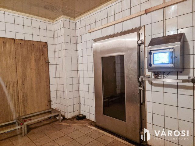 Eladó ipari ingatlan, Hódmezővásárhelyen 150 M Ft