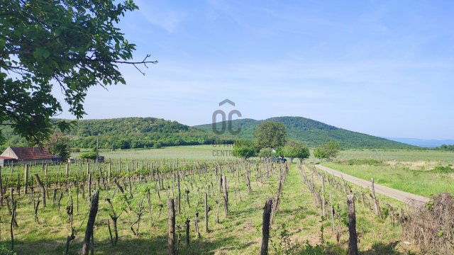Eladó telek, Monostorapátin 2.49 M Ft / költözzbe.hu
