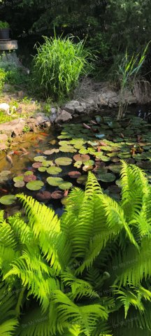 Eladó családi ház, Dömsödön 25.9 M Ft, 2+1 szobás