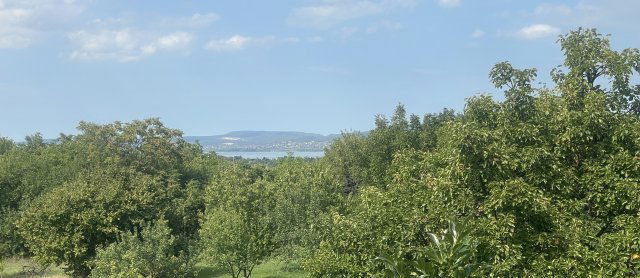 Eladó mezogazdasagi ingatlan, Balatonberényben 42.5 M Ft
