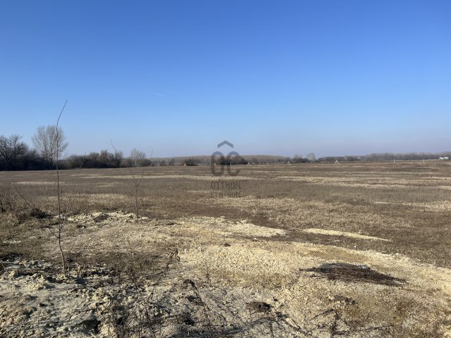 Eladó telek, Vasadon 450 M Ft / költözzbe.hu