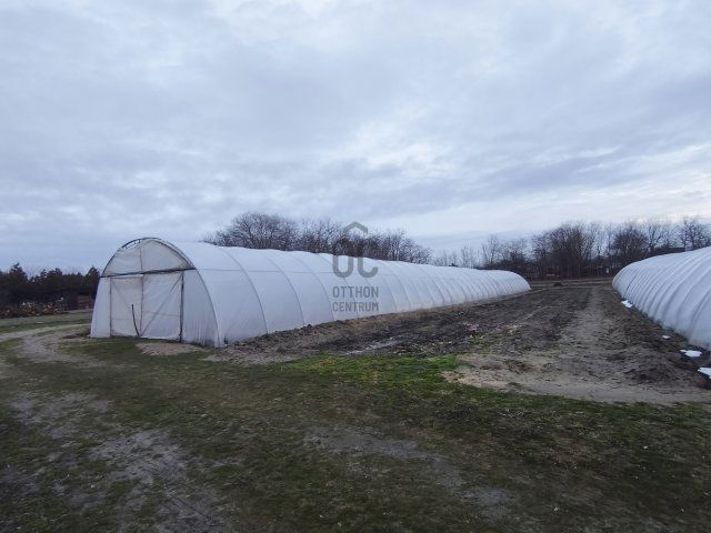 Eladó telek, Nyáregyházán 19.9 M Ft / költözzbe.hu