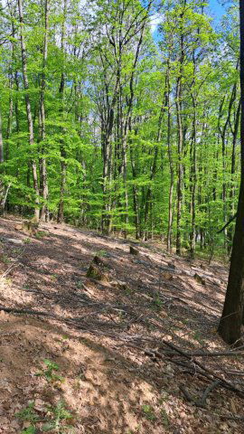 Eladó telek, Mátraszentimrén, Fácán utcában 22.5 M Ft