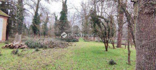 Eladó családi ház, Hódmezővásárhelyen 250 M Ft, 5 szobás